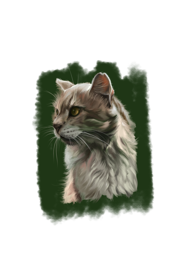 Pet Series Cat White T-Shirt